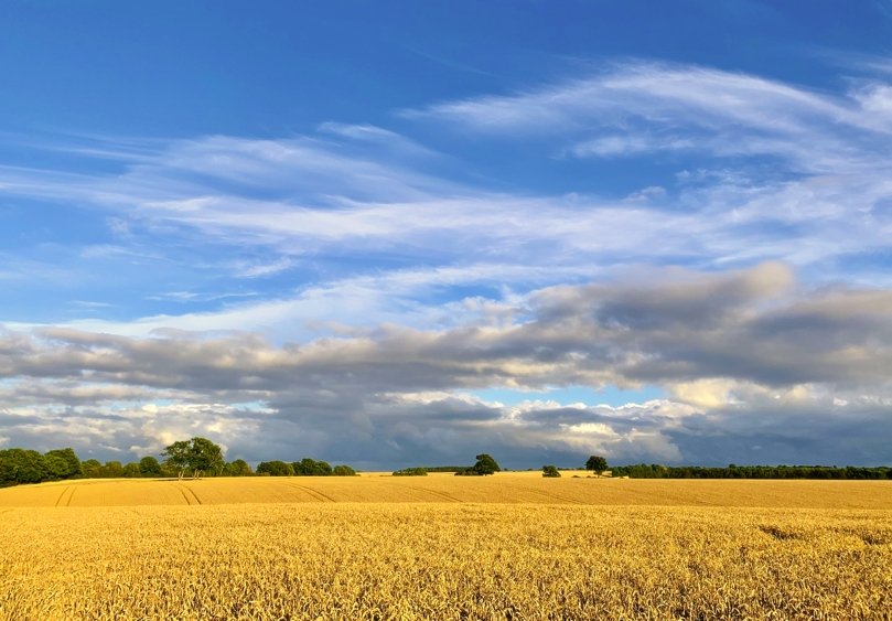 Is Cheap Land in Rural Areas a Good Investment?