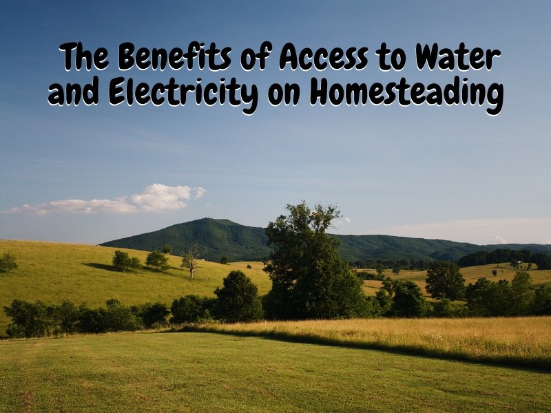 The Benefits of Access to Water and Electricity on Homesteading