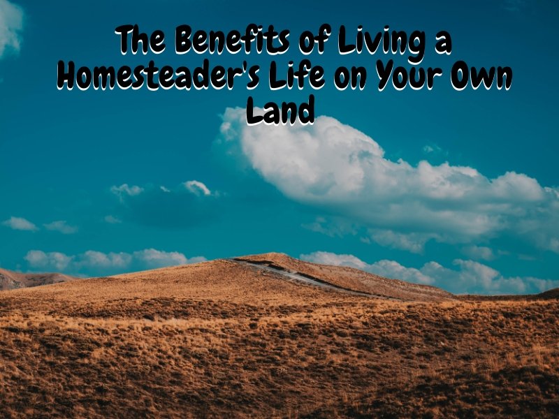 The Benefits of Living a Homesteader's Life on Your Own Land