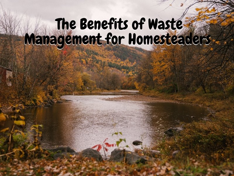 The Benefits of Waste Management for Homesteaders