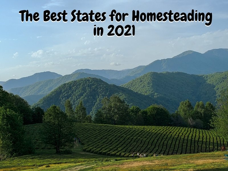 The Best States for Homesteading in 2021