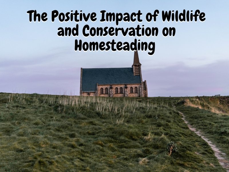 The Positive Impact of Wildlife and Conservation on Homesteading