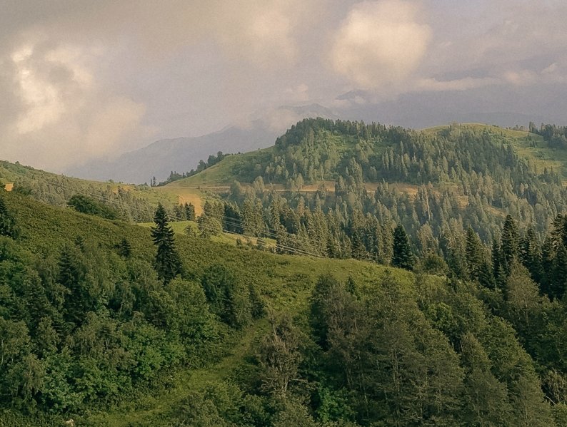 Turning Cheap Land into a Profitable Investment