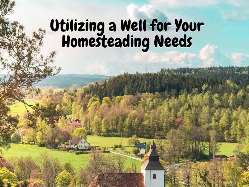 Utilizing a Well for Your Homesteading Needs