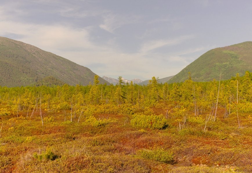 Where to Find Affordable Land in the USA