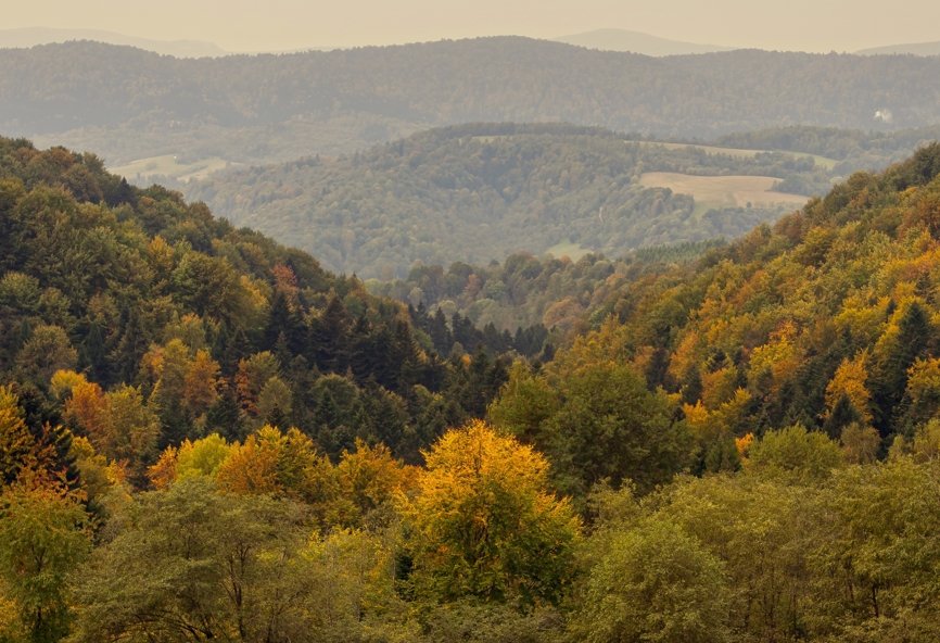 Why Buying Cheap Land is a Smart Investment for Hunting and Fishing