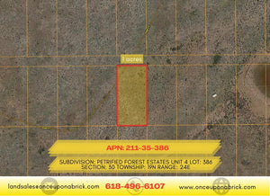 1 Acre in Apache County, AZ Own for $199 Per Month (Parcel Number: 211-35-386) - Once Upon a Brick Inc. Land Investments