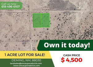1 Acre in Luna County, NM Own for $199 Per Month (Parcel Number: 3032144232377 & 3032144220376) - Once Upon a Brick Inc. Land Investments