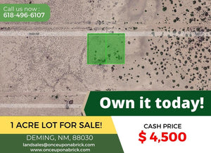 1 Acre in Luna County, NM Own for $199 Per Month (Parcel Number: 3033154456368 & 3033154444368) - Once Upon a Brick Inc. Land Investments