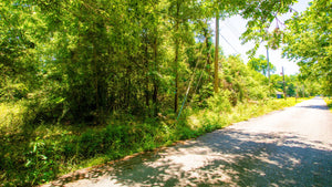 0.17 Acre in Jefferson County, AR Own for $99 Per Month (Parcel Number: 930-02191-000)