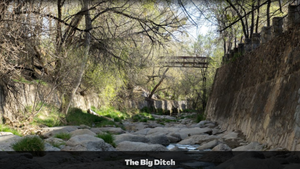 2.5 Acre Lot in Sunny New Mexico (APN: 3-037-143-167-412) - Call Us at 618-496-6107
