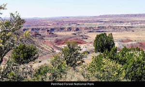 1 Acre in Apache County, AZ Own for $199 Per Month (Parcel Number: 211-35-237)