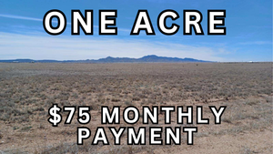 1 Acre Lot in Valencia County, NM - Own for $75 Per Month (1-011-021-392-350-100140)