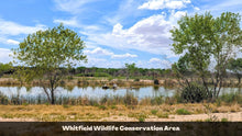 Load image into Gallery viewer, 0.310 Acres in Valencia County, NM Own for $200 Per Month (Parcel Number: 1017032306325100330)

