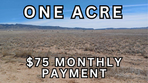 1 Acre Lot in Valencia County, NM - Own for $75 Per Month (1-011-021-384-303-100210)