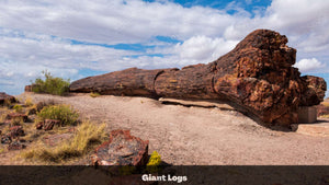 1.32 Acres in Navajo County, AZ Own for $135 Per Month (Parcel Number: 105-58-170)