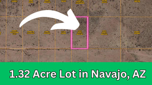 1.32 Acres in Navajo County, AZ Own for$149 Per Month (Parcel Number: 105-59-335)