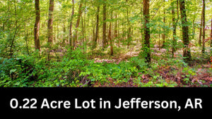 0.22 Acre in Jefferson County, AR Own for $99 Per Month (Parcel Number: 930-17865-413)