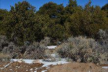Load image into Gallery viewer, 4.6 Acres in Costilla County, CO (Parcel Number: 70700880)
