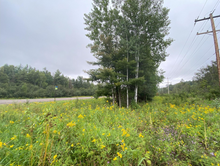 Load image into Gallery viewer, 1.93 acres in Marquette county, MI - 52-51-565-002-00
