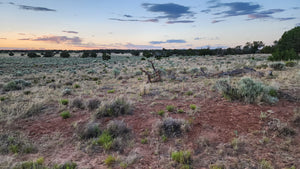 18.78 Acres in Apache County, AZ(107-63-001M & 107-63-001L)