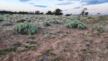 Load image into Gallery viewer, 18.78 Acres in Apache County, AZ(107-63-001M &amp; 107-63-001L)
