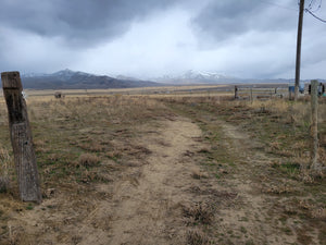 4.77 Acres in Humboldt County, NV Own for $199 Per Month (Lot 17)