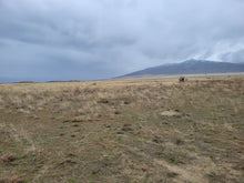 Load image into Gallery viewer, 4.77 Acres in Humboldt County, NV Own for $199 Per Month (Lot 41) - Once Upon a Brick Inc. Land Investments
