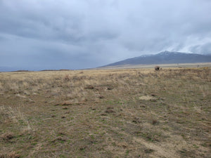 7.61 Acres in Humboldt County, NV Own for $399 Per Month (Lots 44 & 45)