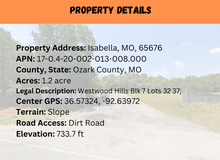 Load image into Gallery viewer, 1.2 Acre in Ozark County, MO Own for $199 Per Month (Parcel Number: 17-0.4-20-002-013-008.000) - Once Upon a Brick Inc. Land Investments

