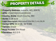 Load image into Gallery viewer, 0.28 Acre in Ozark County, MO Own for $99 Per Month (Parcel Number: 17-0.4-20-002-014-026.000) - Once Upon a Brick Inc. Land Investments
