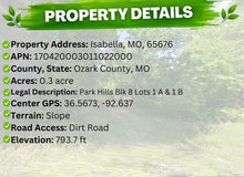 Load image into Gallery viewer, 0.30 Acre in Ozark County, MO Own for $99 Per Month (Parcel Number: 17-0.4-20-003-011-022.000) - Once Upon a Brick Inc. Land Investments
