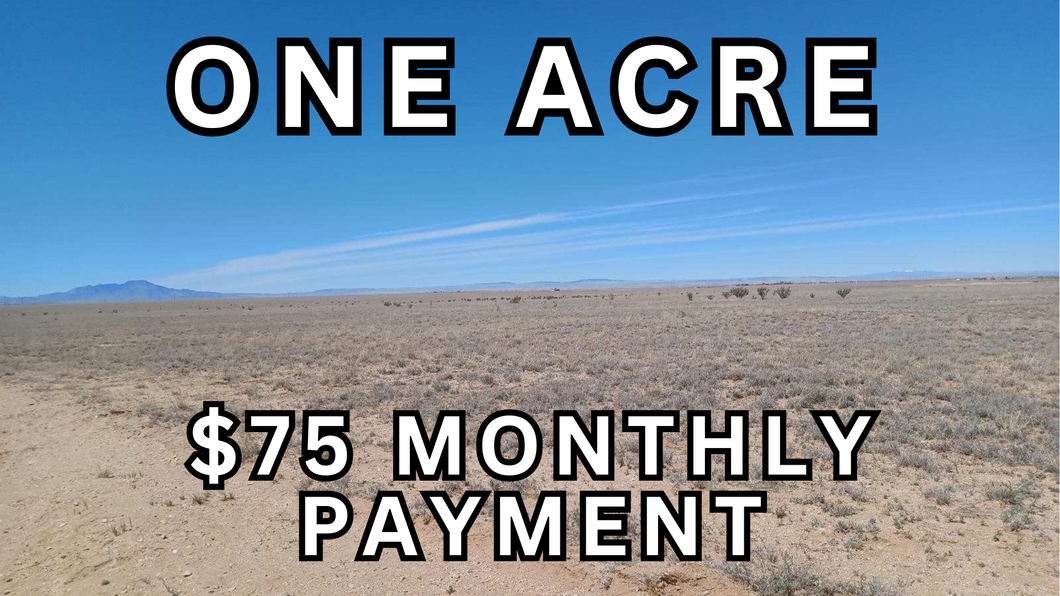 1 Acre Lot in Valencia County, NM - Own for $75 Per Month (1-011-021-375-158-101120)