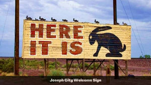 1.27 Acres in Navajo County, AZ Own for $135 Per Month (Parcel Number: 105-57-272)