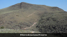 Load image into Gallery viewer, 0.25 Acres in Valencia County, NM Own for $200 Per Month (Parcel Number: 1013029426343100190)
