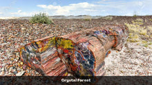 Load image into Gallery viewer, 1.32 Acres in Navajo County, AZ Own for $135 Per Month (Parcel Number: 105-58-164)
