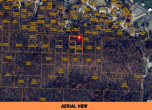 1.5 Acre in Camden County, MO Own for $199 Per Month (Parcel Number: 04-3.1-05.0 000.0-034-004.000)