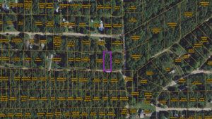 0.15 Acre in Boone County, AR Own for $99 Per Month (Parcel Number: 775-01991-000)