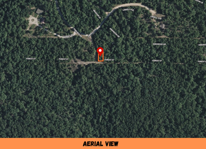 0.07 Acre in Ozark County, MO Own for Only $950 Cash (Parcel Number: 17-0.4-20-004-013-038.000)