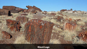 1.27 Acres in Navajo County, AZ Own for $135 Per Month (Parcel Number: 105-57-272)