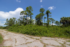 0.27 Acre in Sarasota County, FL - Full Payment for Lot in Sarasota County, FL -1131-22-2816