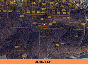1 Acre in Camden County, MO Own for $199 Per Month (Parcel Number:04-3.1-05.0-000.0-034-061.000)