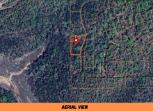 Load image into Gallery viewer, 0.55 Acre in Ozark County, MO Own for $175 Per Month (Parcel Number: 17-0.4-20-003-006-001.000)
