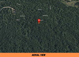 0.08 Acre in Ozark County, MO Own for $69 Per Month (Parcel Number: 17-0.4-20-004-014-016.000)
