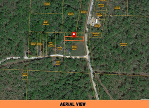 0.17 Acre in Camden County, MO Own for $99 Per Month (Parcel Number: 04-3.2-06.0-000.0-001-006.000)