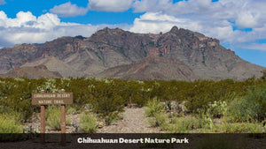 2.5 Acre Lot in Sunny New Mexico (APN: 3-037-143-241-082)- Call Us at 618-496-6107
