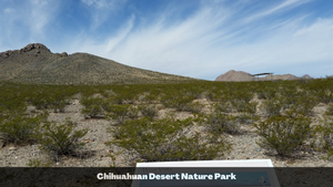 2.5 Acre Lot in Sunny New Mexico (APN: 3-037-143-167-412) - Call Us at 618-496-6107