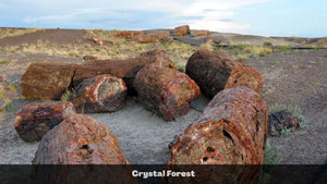 1.32 Acres in Navajo County, AZ Own for $135 Per Month (Parcel Number: 105-58-170)