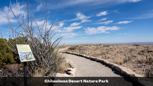 2 Acre in Luna County, New Mexico (3035151190456; 3035151202457...)