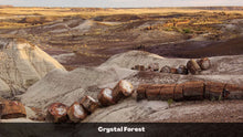 Load image into Gallery viewer, 1.32 Acres in Navajo County, AZ Own for $135 Per Month (Parcel Number: 105-58-170)
